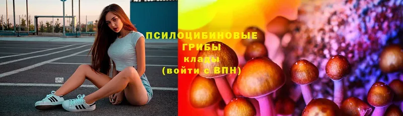 Галлюциногенные грибы мухоморы  Курлово 